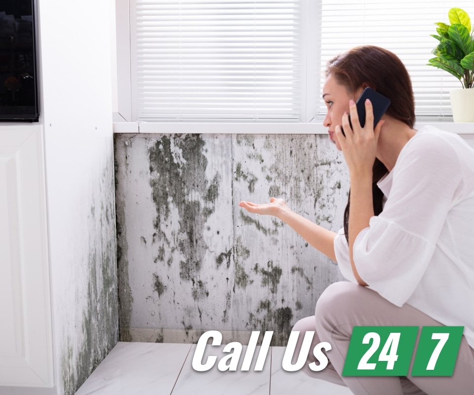 women-on-phone-calling-for-help-with-mold